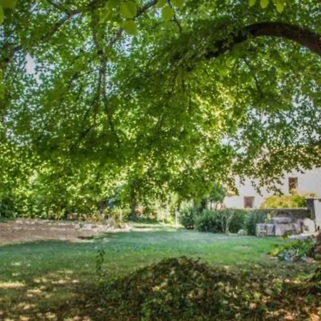 Le Maine N 5 - Angouleme - Tilleul Fleac